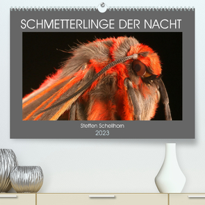 SCHMETTERLINGE DER NACHT (Premium, hochwertiger DIN A2 Wandkalender 2023, Kunstdruck in Hochglanz) von Schellhorn,  Steffen