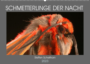 SCHMETTERLINGE DER NACHT (Wandkalender 2023 DIN A2 quer) von Schellhorn,  Steffen