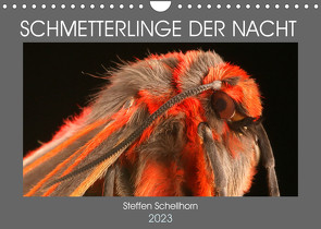 SCHMETTERLINGE DER NACHT (Wandkalender 2023 DIN A4 quer) von Schellhorn,  Steffen