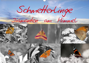 Schmetterlinge – Diamanten am Himmel (Wandkalender 2020 DIN A2 quer) von Witkowski,  Bernd