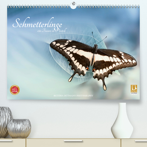 Schmetterlinge – ein Traum in Pastell (Premium, hochwertiger DIN A2 Wandkalender 2020, Kunstdruck in Hochglanz) von Dittmann,  Bettina