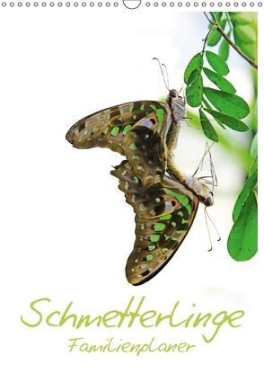 Schmetterlinge / Familienplaner (Wandkalender 2018 DIN A3 hoch) von Gann (magann),  Markus