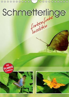 Schmetterlinge – farbenfrohe Insekten (Wandkalender 2019 DIN A4 hoch) von Mosert,  Stefan