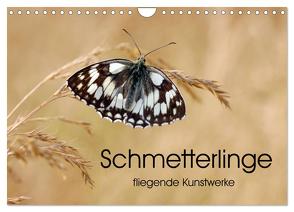 Schmetterlinge – fliegende Kunstwerke (Wandkalender 2024 DIN A4 quer), CALVENDO Monatskalender von Kumpf,  Eileen