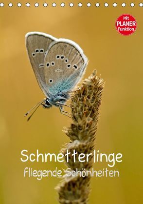 Schmetterlinge – fliegende Schönheiten (Tischkalender 2019 DIN A5 hoch) von Kärcher,  Markus