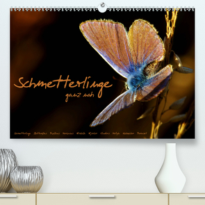Schmetterlinge ganz nah (Premium, hochwertiger DIN A2 Wandkalender 2021, Kunstdruck in Hochglanz) von Delgado,  Julia