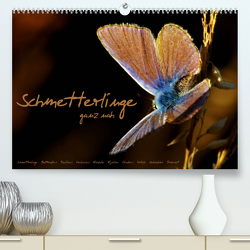 Schmetterlinge ganz nah (Premium, hochwertiger DIN A2 Wandkalender 2023, Kunstdruck in Hochglanz) von Delgado,  Julia
