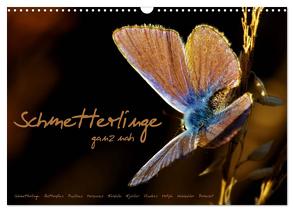 Schmetterlinge ganz nah (Wandkalender 2024 DIN A3 quer), CALVENDO Monatskalender von Delgado,  Julia
