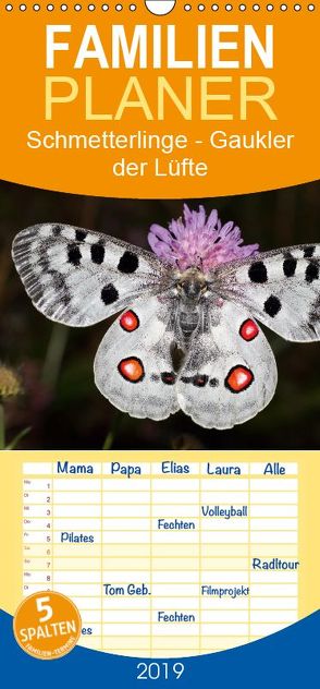 Schmetterlinge – Gaukler der Lüfte – Familienplaner hoch (Wandkalender 2019 , 21 cm x 45 cm, hoch) von Bachmeier,  Günter