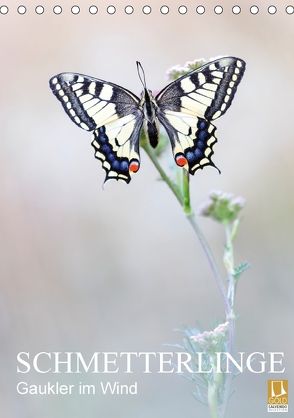 Schmetterlinge – Gaukler im Wind (Tischkalender 2018 DIN A5 hoch) von Simon,  Anton