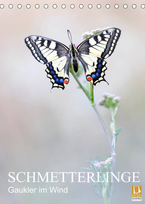 Schmetterlinge – Gaukler im Wind (Tischkalender 2023 DIN A5 hoch) von Simon,  Anton