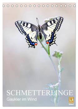Schmetterlinge – Gaukler im Wind (Tischkalender 2024 DIN A5 hoch), CALVENDO Monatskalender von Simon,  Anton