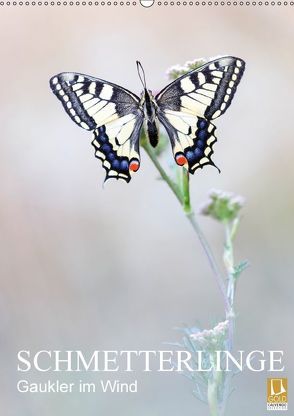 Schmetterlinge – Gaukler im Wind (Wandkalender 2018 DIN A2 hoch) von Simon,  Anton