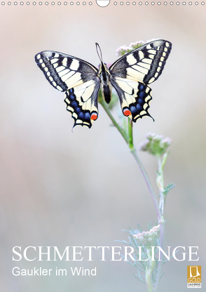 Schmetterlinge – Gaukler im Wind (Wandkalender 2021 DIN A3 hoch) von Simon,  Anton