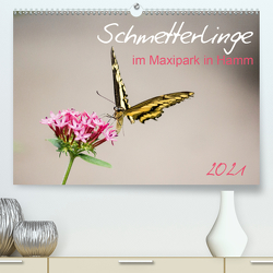 Schmetterlinge im Maxipark in Hamm (Premium, hochwertiger DIN A2 Wandkalender 2021, Kunstdruck in Hochglanz) von Gimpel,  Frauke