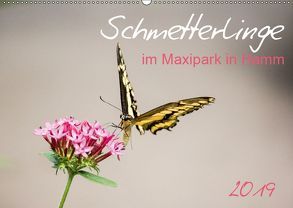 Schmetterlinge im Maxipark in Hamm (Wandkalender 2019 DIN A2 quer) von Gimpel,  Frauke