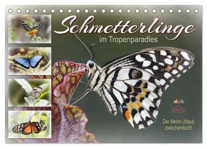 Schmetterlinge im Tropenparadies (Tischkalender 2024 DIN A5 quer), CALVENDO Monatskalender von Löwer,  Sabine
