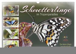 Schmetterlinge im Tropenparadies (Wandkalender 2024 DIN A3 quer), CALVENDO Monatskalender von Löwer,  Sabine