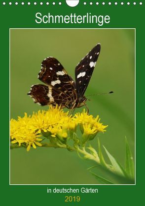 Schmetterlinge in deutschen Gärten (Wandkalender 2019 DIN A4 hoch) von Prescher,  Werner