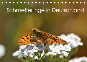 Schmetterlinge in Deutschland (Tischkalender 2022 DIN A5 quer) von Freiberg - Fotografie Licht & Schatten,  Thomas
