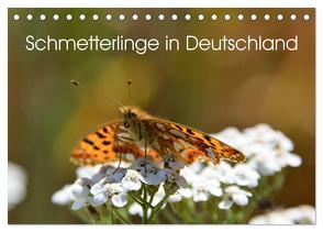 Schmetterlinge in Deutschland (Tischkalender 2024 DIN A5 quer), CALVENDO Monatskalender von Freiberg - Fotografie Licht & Schatten,  Thomas