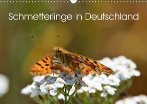 Schmetterlinge in Deutschland (Wandkalender 2018 DIN A3 quer) von Freiberg - Fotografie Licht & Schatten,  Thomas