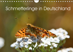 Schmetterlinge in Deutschland (Wandkalender 2022 DIN A4 quer) von Freiberg - Fotografie Licht & Schatten,  Thomas