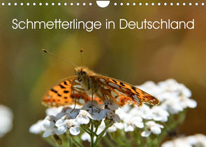 Schmetterlinge in Deutschland (Wandkalender 2023 DIN A4 quer) von Freiberg - Fotografie Licht & Schatten,  Thomas