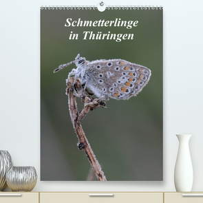 Schmetterlinge in Thüringen (Premium, hochwertiger DIN A2 Wandkalender 2021, Kunstdruck in Hochglanz) von Sprenger,  Bernd