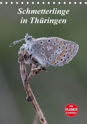 Schmetterlinge in Thüringen (Tischkalender 2018 DIN A5 hoch) von Sprenger,  Bernd