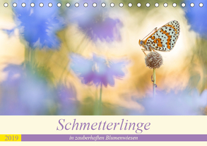 Schmetterlinge in zauberhaften Blumenwiesen (Tischkalender 2019 DIN A5 quer) von Petzl,  Perdita