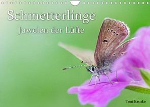 Schmetterlinge – Juwelen der Lüfte (Wandkalender 2022 DIN A4 quer) von Kasiske,  Toni