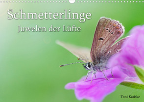 Schmetterlinge – Juwelen der Lüfte (Wandkalender 2023 DIN A3 quer) von Kasiske,  Toni