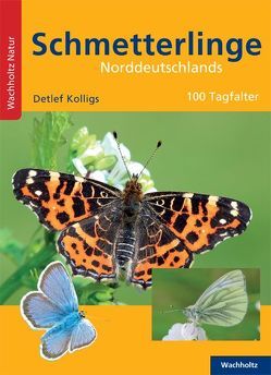 Schmetterlinge Norddeutschlands von Kolligs,  Detlef