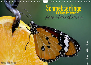 Schmetterlinge Nützlinge der Natur farbenfrohe Exoten (Wandkalender 2023 DIN A4 quer) von Diesselhorst,  Monique