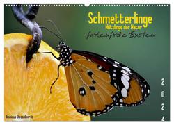 Schmetterlinge Nützlinge der Natur farbenfrohe Exoten (Wandkalender 2024 DIN A2 quer), CALVENDO Monatskalender von Diesselhorst,  Monique