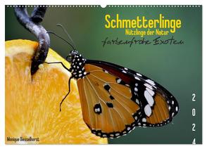 Schmetterlinge Nützlinge der Natur farbenfrohe Exoten (Wandkalender 2024 DIN A2 quer), CALVENDO Monatskalender von Diesselhorst,  Monique