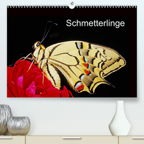 Schmetterlinge (Premium, hochwertiger DIN A2 Wandkalender 2023, Kunstdruck in Hochglanz) von / Bachmeier / Huwiler / Krause / Kreuter / Schreiter / Steinkamp,  McPHOTO