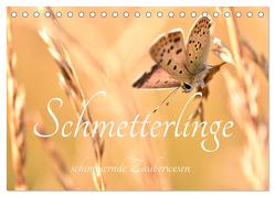 Schmetterlinge. Schimmernde Zauberwesen (Tischkalender 2024 DIN A5 quer), CALVENDO Monatskalender von AnetaZofia,  AnetaZofia