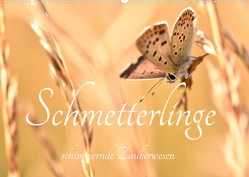 Schmetterlinge. Schimmernde Zauberwesen (Wandkalender 2023 DIN A2 quer) von AnetaZofia