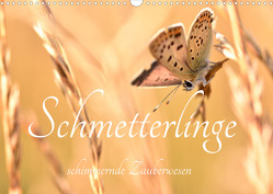 Schmetterlinge. Schimmernde Zauberwesen (Wandkalender 2023 DIN A3 quer) von AnetaZofia