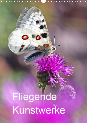 Schmetterlinge, schöne Flieger der Natur (Wandkalender 2019 DIN A3 hoch) von Blum,  Jürgen