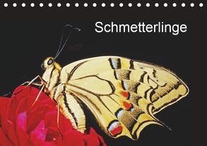 Schmetterlinge (Tischkalender 2019 DIN A5 quer) von / Bachmeier / Huwiler / Krause / Kreuter / Schreiter / Steinkamp,  McPHOTO