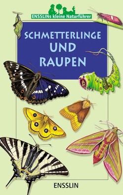 Schmetterlinge und Raupen von Müller,  Sabine, Rogez,  Léon
