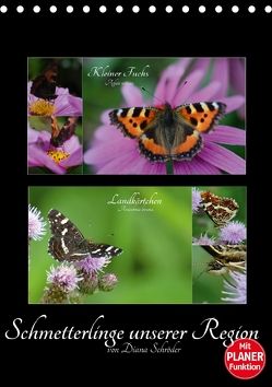 Schmetterlinge unserer Region (Tischkalender 2018 DIN A5 hoch) von Schröder,  Diana