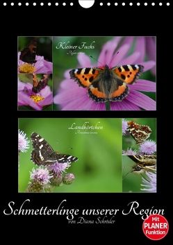 Schmetterlinge unserer Region (Wandkalender 2018 DIN A4 hoch) von Schröder,  Diana