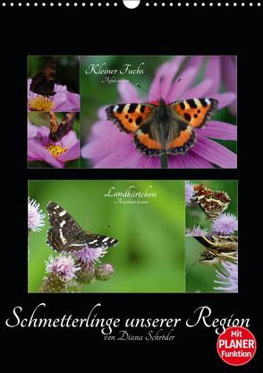 Schmetterlinge unserer Region (Wandkalender 2019 DIN A3 hoch) von Schröder,  Diana