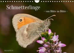 Schmetterlinge – von Blüte zu Blüte – (Wandkalender 2023 DIN A4 quer) von Meister,  Angelika