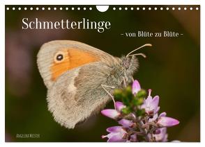 Schmetterlinge – von Blüte zu Blüte – (Wandkalender 2024 DIN A4 quer), CALVENDO Monatskalender von Meister,  Angelika