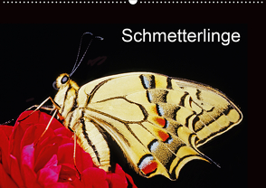 Schmetterlinge (Wandkalender 2021 DIN A2 quer) von / Bachmeier / Huwiler / Krause / Kreuter / Schreiter / Steinkamp,  McPHOTO